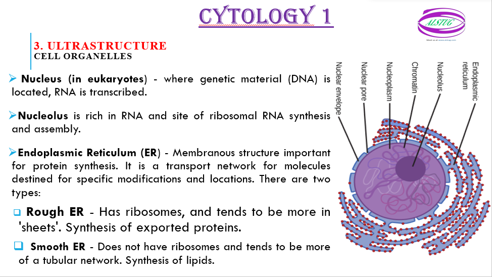 Nucleus and Environs