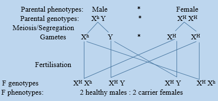 Haemophilic male and healthy wife.