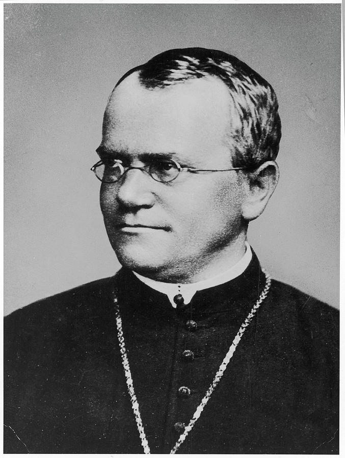 Gregor Mendel